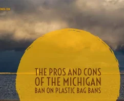 The Pros and Cons of the Michigan Ban on Plastic Bag Bans