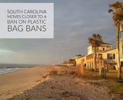 South Carolina Moves Closer to a Ban on Plastic Bag Bans