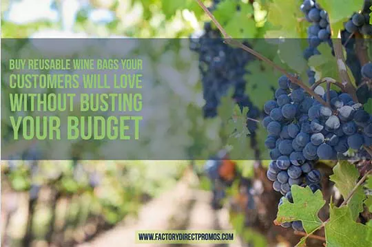 Grapes in a vineyard with caption: Buy Reusable Wine Bags Customers Will Love Without Busting Your Budget
