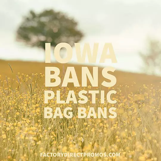 Open field with wildflowers and blurred tree in background for caption: Iowa bans plastic bag bands