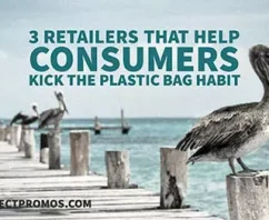 3 Retailers That Help Consumers Kick the Plastic Bag Habit