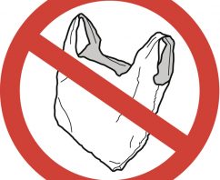 Answering the 4 Most Pressing Questions About Plastic Bag Bans
