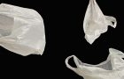 Honolulu Plastic Bag Ban Finally Gets Real