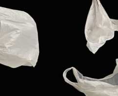 Honolulu Plastic Bag Ban Finally Gets Real