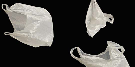 Honolulu Plastic Bag Ban Finally Gets Real