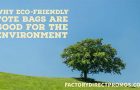 Why Eco-Friendly Tote Bags Are Good for The Environment