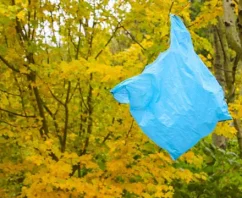 Where We Stand: Plastic Bag Bans in 2017 and Beyond