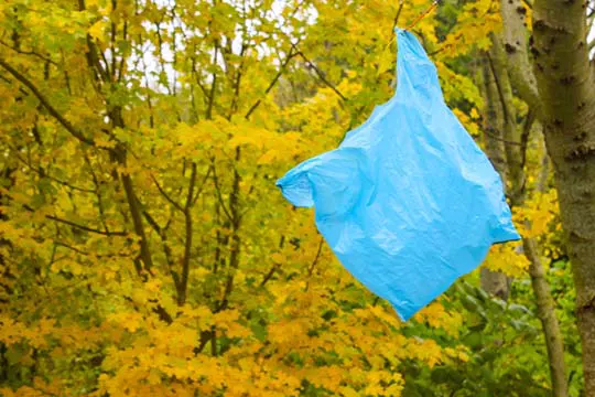 Where We Stand: Plastic Bag Bans in 2017 and Beyond