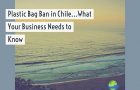 Plastic Bag Ban in Chile…What Your Business Needs to Know