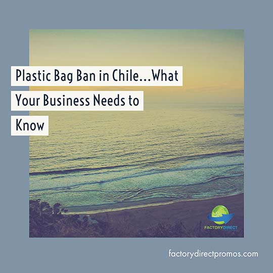 Plastic Bag Ban in Chile What Your Business Needs to Know
