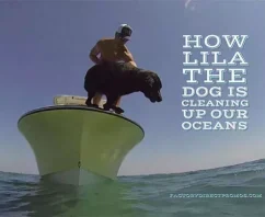 How Lila The Dog Is Cleaning Up Our Oceans