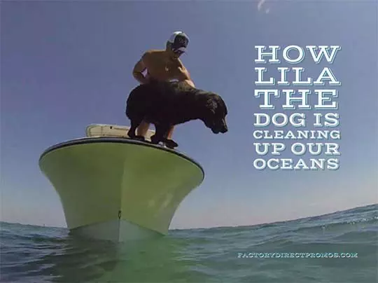 Dog on a boat with owner in open water - How a dog is cleaning up our oceans