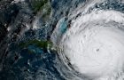 Find Help For Florida Businesses Affected by Hurricane Irma