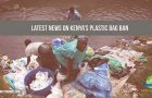 Kenya Cracks Down on Plastic Pollution with Extreme Penalties