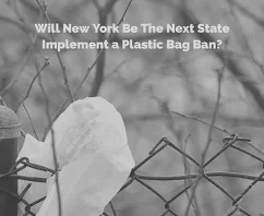 Will New York Be The Next State to Implement a Plastic Bag Ban?