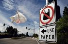 A Global Look at Plastic Bag Bans