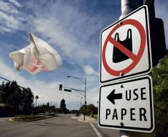 A Global Look at Plastic Bag Bans