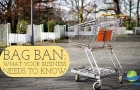 Massachusetts Bag Ban Bill H 2121. What YOUR Business Needs to Know Now