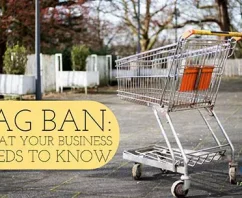 Massachusetts Bag Ban Bill H 2121. What YOUR Business Needs to Know Now