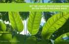 Get Our Favorite Reusable Bags at The Lowest Prices Ever Offered!