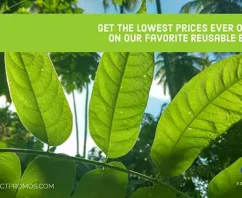Get Our Favorite Reusable Bags at The Lowest Prices Ever Offered!