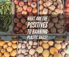 What Are The Positives to Banning Plastic Bags?