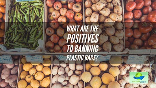 What Are The Positives to Banning Plastic Bags