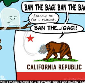 Ban The Bag