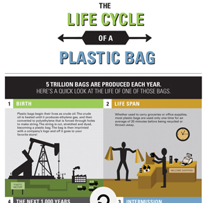 Lifecycle of a Reusable Plastic Bag