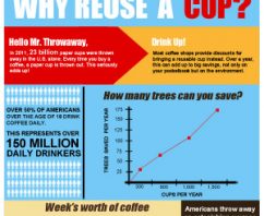 Why Reuse a Cup?