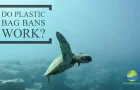 Do Plastic Bag Bans Work? Let’s See What The Science Says