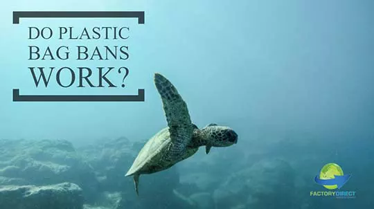Sea turtle swimming underwater with environmental message: Do plastic bag bans work