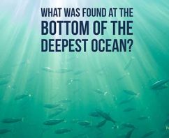 Guess What Was Found at the Bottom of The World’s Deepest Ocean?