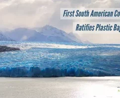 First South American Country Ratifies Plastic Bag Ban