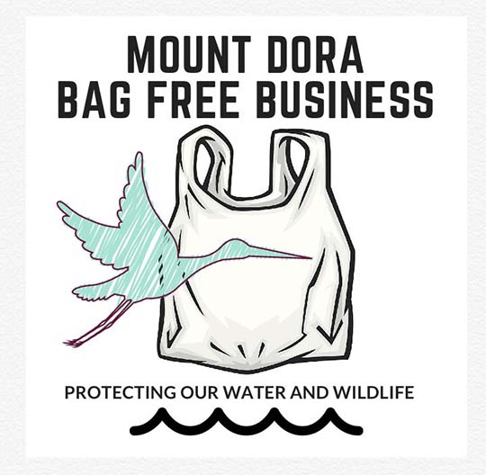 Girl Scout Zoé Mueller Helps Mount Dora, Florida Go #BagFree