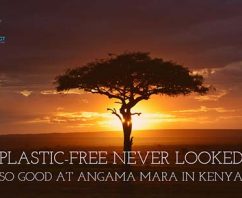 Plastic Free Works at Angama Mara Resort in Kenya