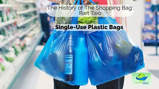 Unseen person holding to 2 single-use plastic grocery bags at store