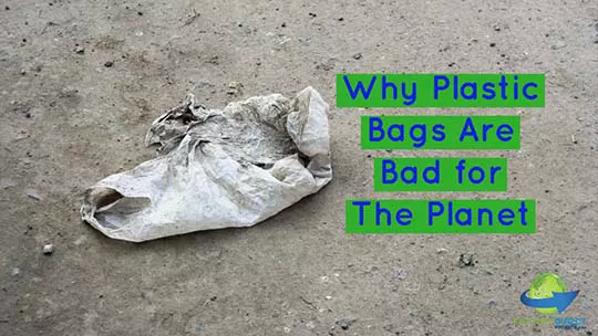 Close up of dirty litter with caption: Why Plastic Bags Are Bad for The Planet