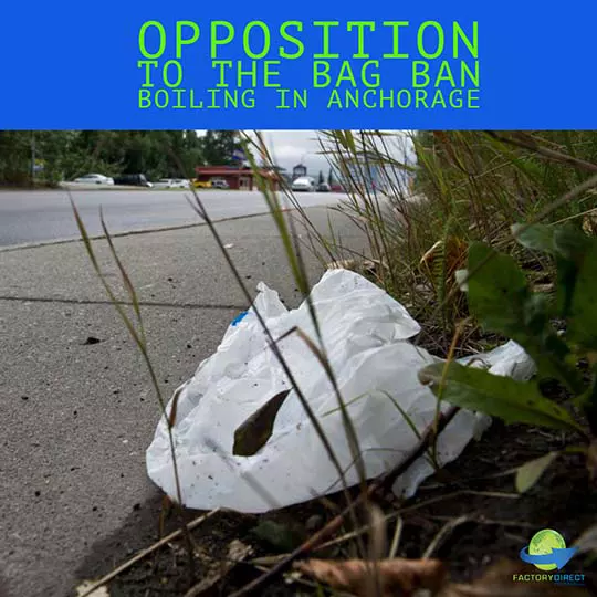 Single-use plastic bag litter sitting on side of road in grass