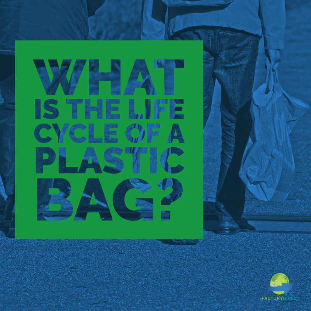 What is The Life Cycle of a Plastic Bag?