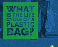 What is The Life Cycle of a Plastic Bag?