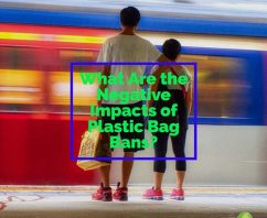 What Are the Negative Impacts of Plastic Bag Bans?