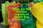 What Are The Positive Impacts of Plastic Bag Bans?