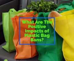 What Are The Positive Impacts of Plastic Bag Bans?