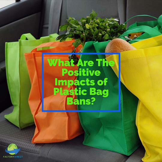 What Are The Positive Impacts of Plastic Bag Bans?