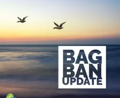 Find Out What U.S. Cities Have New Plastic Bag Bans