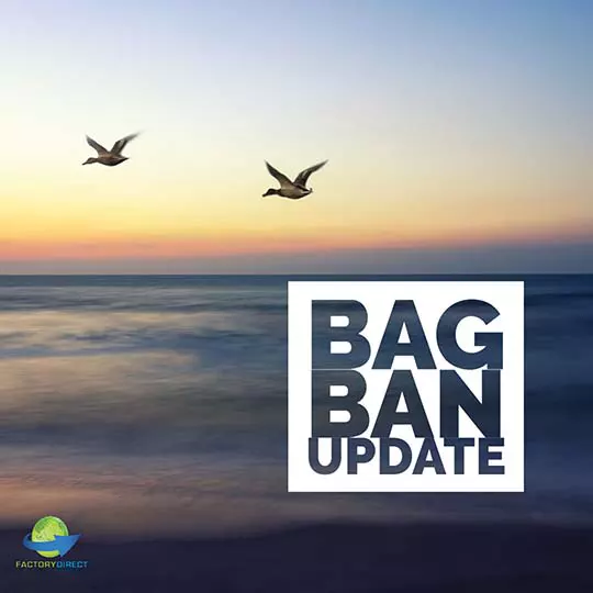 bag ban