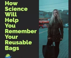 How Science Will Help You Remember Your Reusable Bags