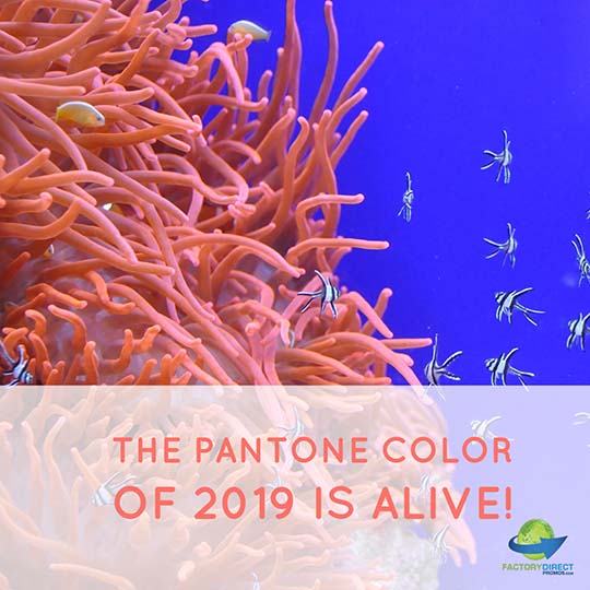 Tropical fish with caption: The Pantone Color of 2019 is Alive!