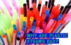 Why Are Plastic Straws Bad?